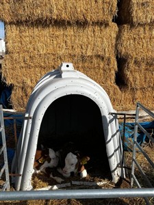 Güzelyurt MYO Öğrencilerinden Sektöre Yerinde Ziyaret: Teorik Bilgiler Sahada Pekişti