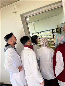 Fermente Gıdalar Teknolojisi Dersi Kapsamında Gelveri Ekmeği Yapımı