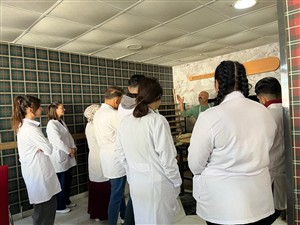 Fermente Gıdalar Teknolojisi Dersi Kapsamında Gelveri Ekmeği Yapımı